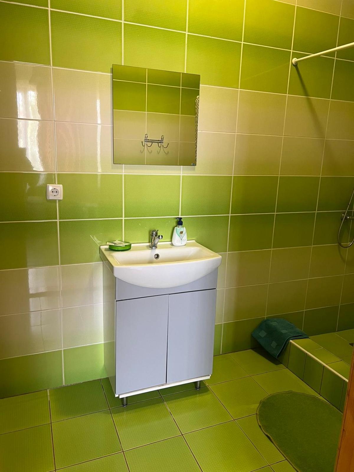 Mini-Hotel "Nord" Chynadiyovo エクステリア 写真