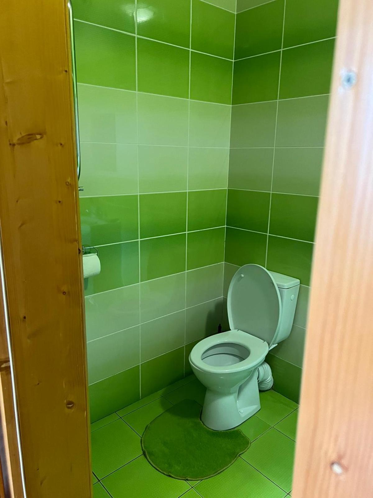 Mini-Hotel "Nord" Chynadiyovo エクステリア 写真